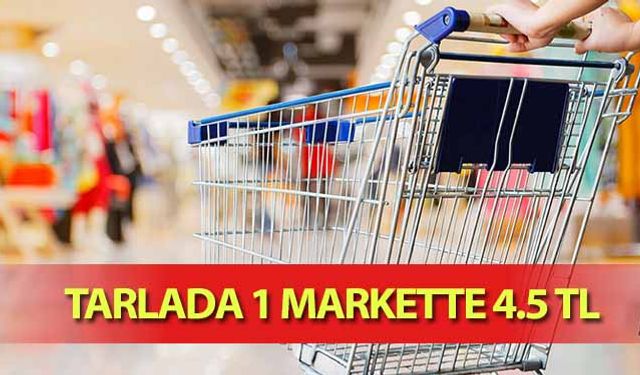 Tarlada 1 Markette 4.5 Tl