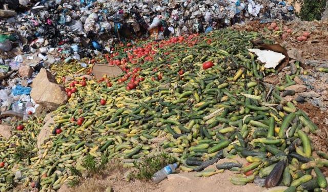 Çöpe dökülüyor diye yaygara koparılmıştı! Olayın aslı bambaşka çıktı