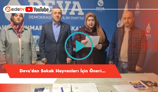 Deva’dan Sokak Hayvanları İçin Öneri