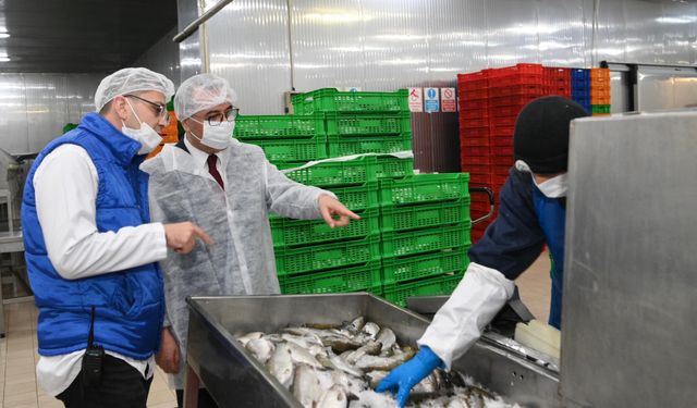 Başkan Güngör; ‘Balık üretiminde öncü şehiriz’