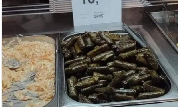 1 adet yaprak sarma 10 TL! Vah benim memleketim vah!