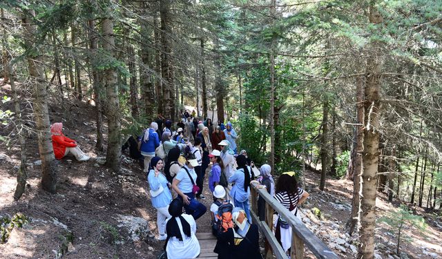 Kadınlarla Baş Başa Doğa Gezileri’nin Yeni Rotası Ali Kayası ve Başkonuş Yaylası Oldu