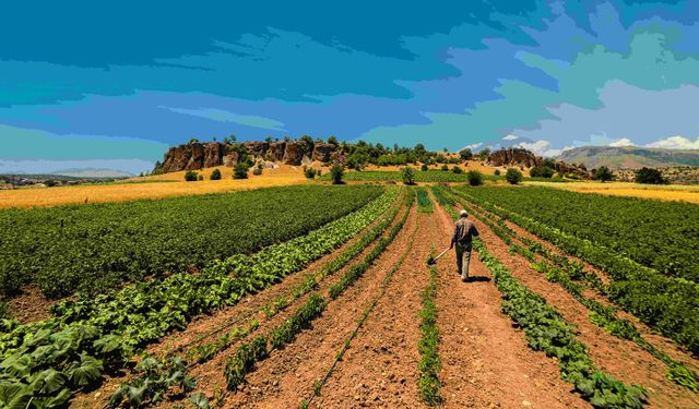 TEMA Vakfı: "Toprağa Özen Göster, Gelecek İçin Ölç, İzle, Yönet"