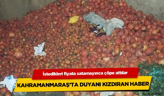 Kahramanmaraş'ta kasa kasa dometesi çöpe attılar