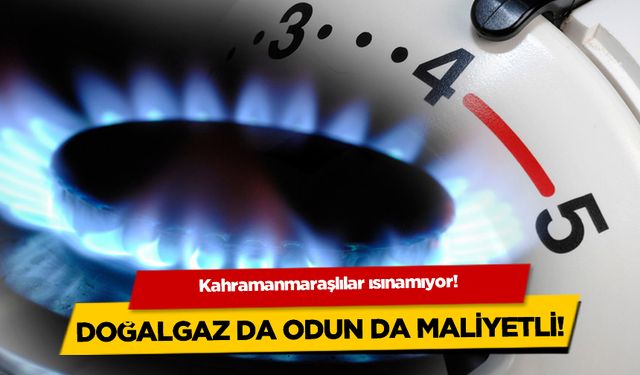 Odun da doğalgaz da pahalı! Kahramanmaraş'ta kış zor zeçiyor