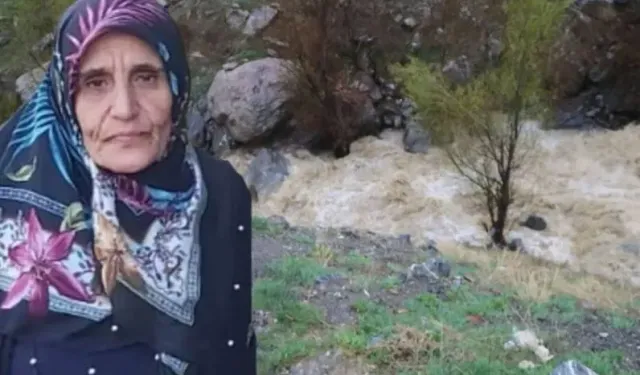 Feleknaz Keskin kimdir, neden kayboldu, bulundu mu?