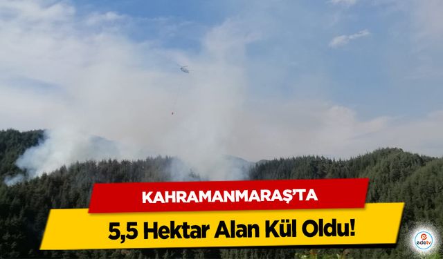 Kahramanmaraş'ta 5,5 Hektar Alan Kül Oldu!