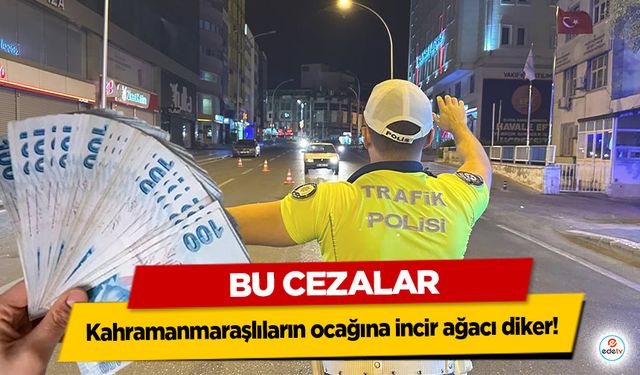 Bu cezalar Kahramanmaraşlıların ocağına incir ağacı diker!