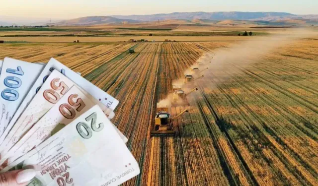 Tarım Bakanlığı’ndan Çiftçilere 6 Farklı Destek Ödemesi