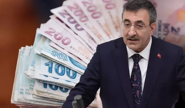 Vatandaşlık Maaşı Modeli İçin Geri Sayım Başladı!