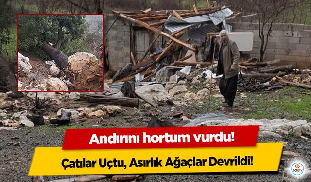 Kahramanmaraş'ta Andırını hortum vurdu!