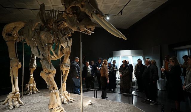 Kahramanmaraş’ta Yaşlılar Haftasında müze gezisi!