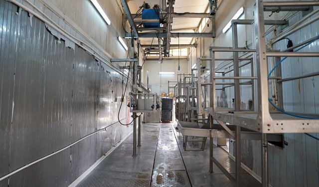 Büyükşehir Pazarcık Kesimhanesi’ni Yeniledi!