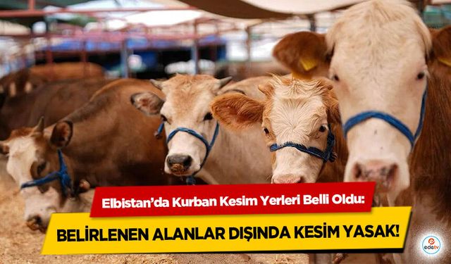 Elbistan’da Kurban Kesim Yerleri Belli Oldu: Belirlenen Alanlar Dışında Kesim Yasak!