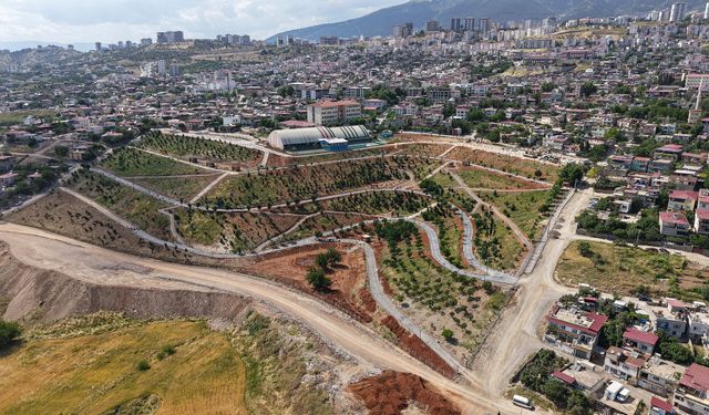 Büyükşehir’in ‘Yeşil Dönüşüm’ Hamlesi Karbon Yutak Alanı’nda Çalışmalar Sürüyor