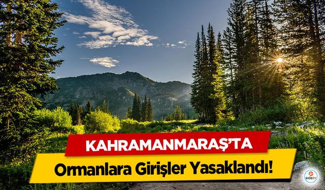 Kahramanmaraş’ta Ormanlara Girişler Yasaklandı!