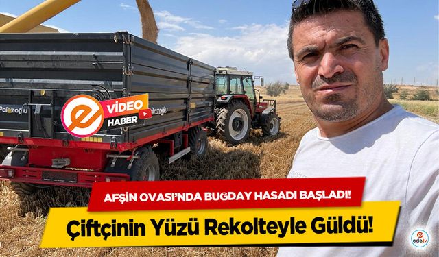 Kahramanmaraş Afşin Ovası’nda buğday hasadı başladı! Çiftçinin Yüzü Rekolteyle Güldü