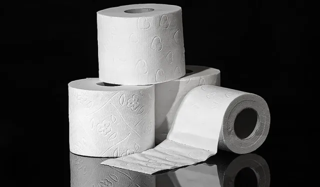 Tuvalet Kağıdı Kullanımı Sağlık Riski Taşıyor mu? Bilim İnsanlarından Çarpıcı Araştırma