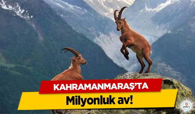 Kahramanmaraş’ta milyonluk av!