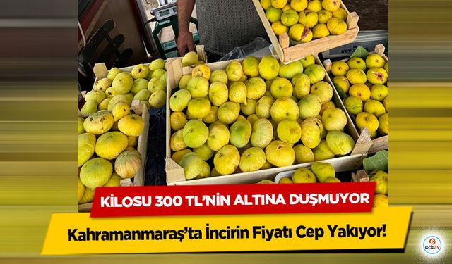 Kahramanmaraş’ta İncirin Fiyatı Cep Yakıyor! Kilosu 300 TL’nin Altına Düşmüyor