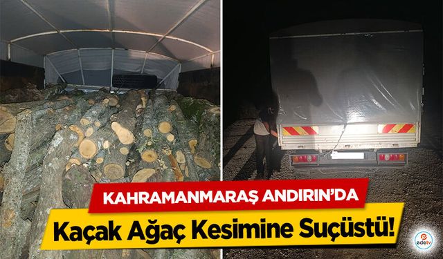 Kahramanmaraş Andırın’da Kaçak Ağaç Kesimine Suçüstü!