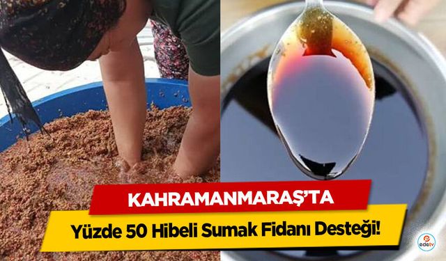 Kahramanmaraş’ta Üreticilere Yüzde 50 Hibeli Sumak Fidanı Desteği!