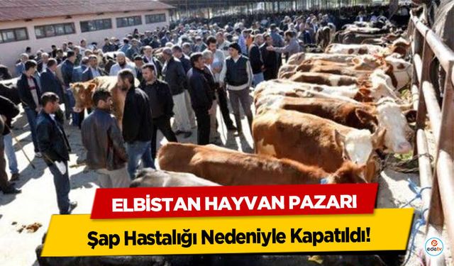 Elbistan Hayvan Pazarı Şap Hastalığı Nedeniyle Kapatıldı!