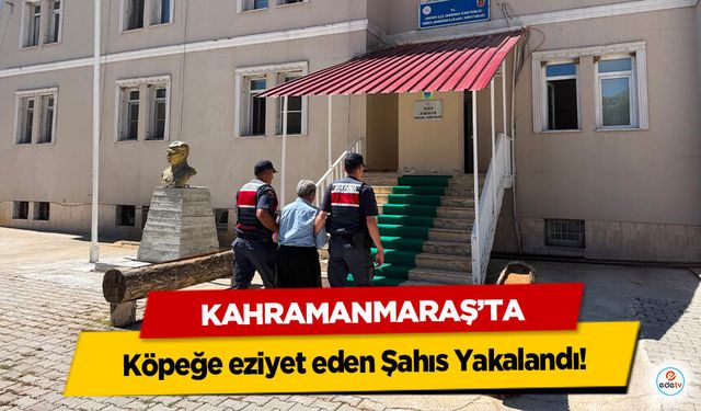 Kahramanmaraş’ta Köpeğe eziyet eden Şahıs Yakalandı!