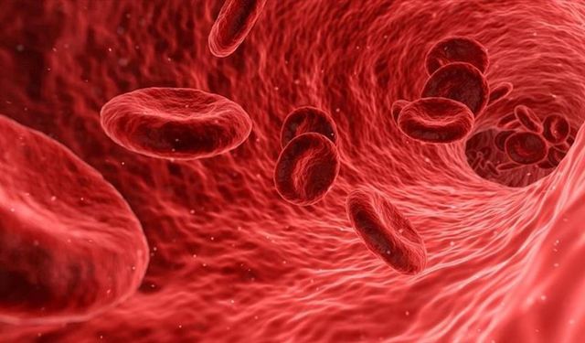 Sepsis Nedir? Basit Bir Enfeksiyon Nasıl Hayati Tehlikeye Dönüşüyor?