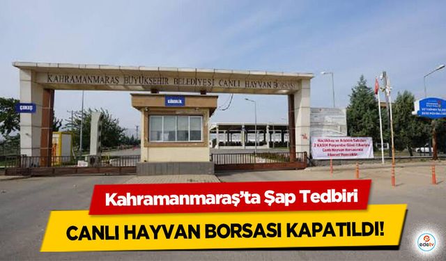 Kahramanmaraş’ta Şap Tedbiri: Canlı Hayvan Borsası Kapatıldı!