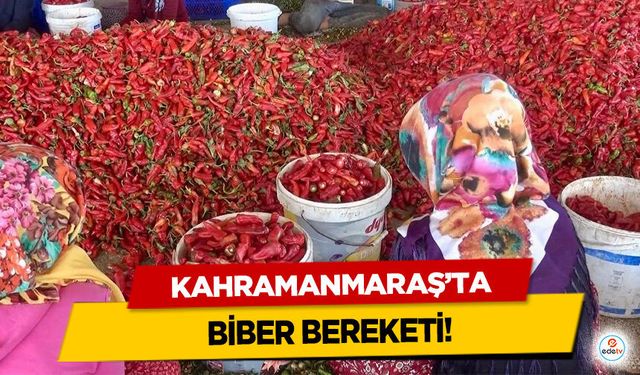 Kahramanmaraş’ta 12 bin 500 ton pul biber bekleniyor!