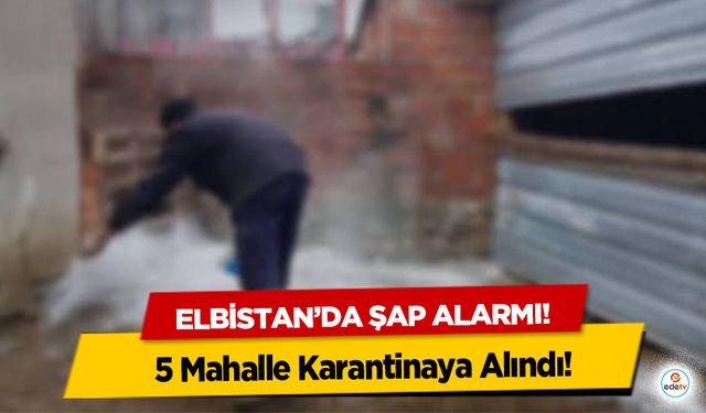 Elbistan’da şap alarmı! 5 Mahalle Karantinaya Alındı