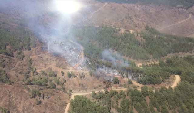 Mersin’de çıkan yangın kontrol altına alındı