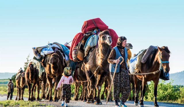 Sarıkeçili Yörüklerinin göçü, fotoğraf sanatçısına 2 ödül getirdi