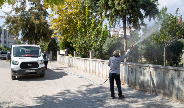 Mersin'de beyaz sinek mücadelesi