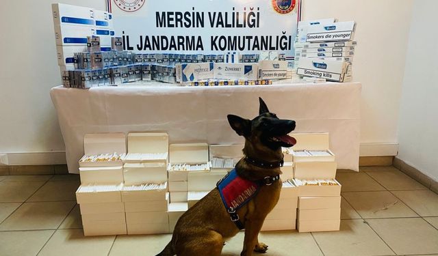 Mersin'de kaçak sigara operasyonu, 4 gözaltı