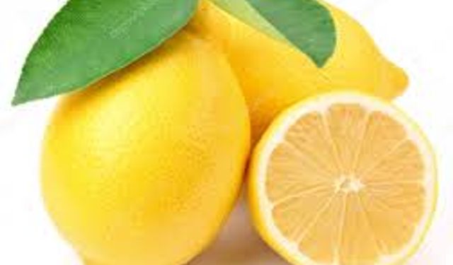 Limonun kilogramı 5,84 TL