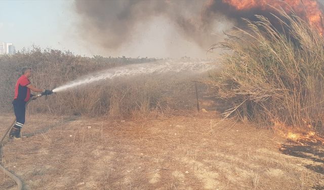 Mersin'de ağaçlık alanda çıkan yangın söndürüldü