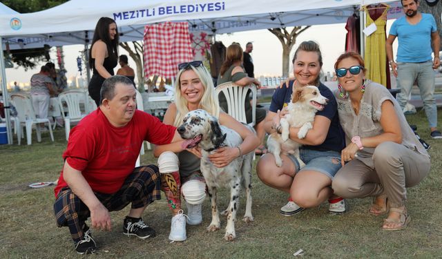 Pati Fest Festivali Mezitli'de başladı