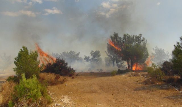 Silifke’de çalılık alanda çıkan yangın ormana sıçradı