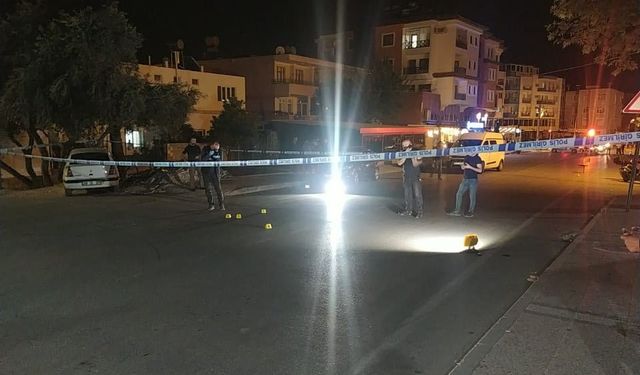 Silifke'de bir kadın, eski eşi tarafından tüfekle ateş edilmesi sonucu ayağından yaralandı.