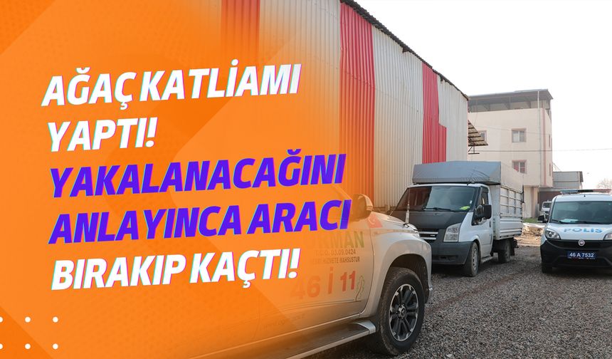 Ağaç katliamı yaptı! Yakalanacağını anlayınca aracı bırakıp kaçtı