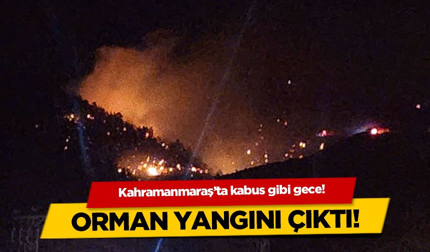 Kahramanmaraş'ta kabus gibi gece: Orman yangını çıktı!