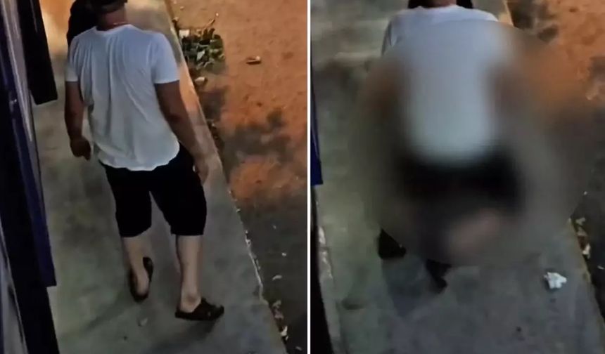 Sokak ortasında köpeğe tecavüz!