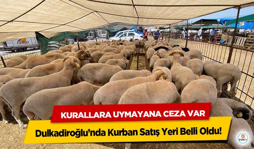 Dulkadiroğlu’nda Kurban Satış Yeri Belli Oldu! Kurallara Uymayana Ceza Var