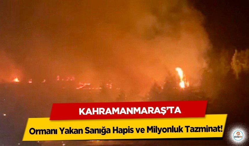 Kahramanmaraş’ta Ormanı Yakan Sanığa Hapis ve Milyonluk Tazminat!