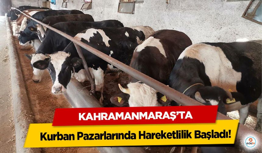 Kahramanmaraş’ta Kurban Pazarlarında Hareketlilik Başladı!