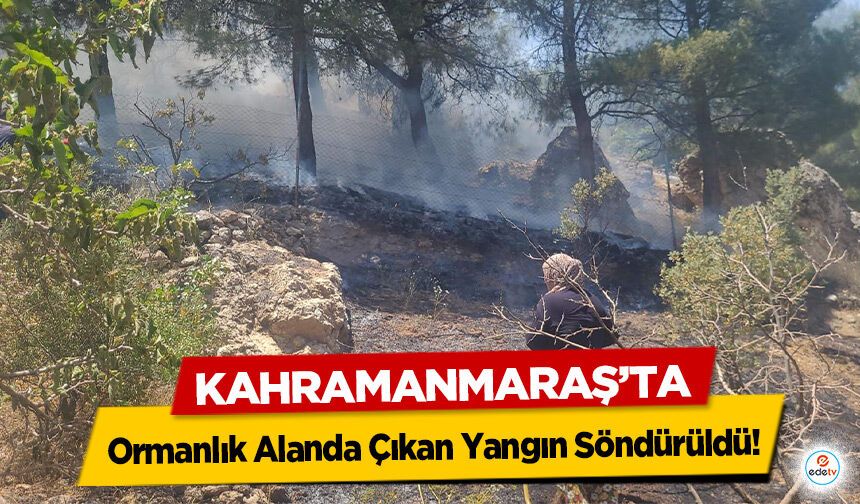 Kahramanmaraş’ta Ormanlık Alanda Çıkan Yangın Söndürüldü!