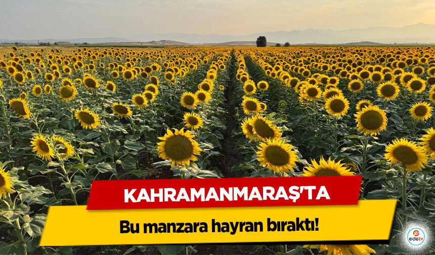 Kahramanmaraş'ta manzara hayran bıraktı!