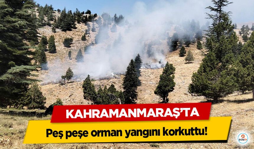 Kahramanmaraş’ta peş peşe orman yangını korkuttu!